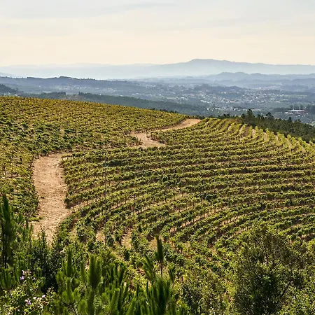 The Vinea Collection By Piamonte 5*