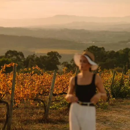 The Vinea Collection By Piamonte 5*