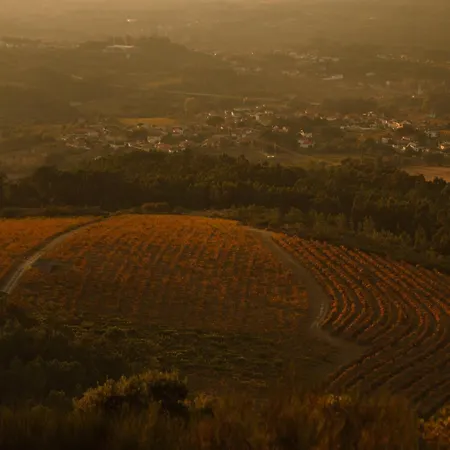 The Vinea Collection By Piamonte 5*