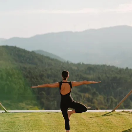 The Vinea Collection By Piamonte