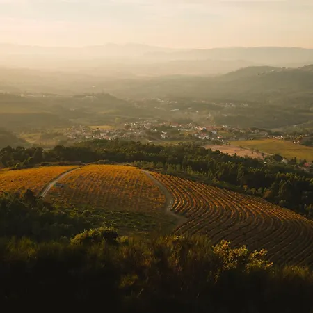 The Vinea Collection By Piamonte 호텔 Monção