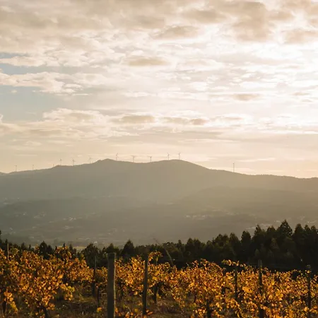 호텔 The Vinea Collection By Piamonte 5*