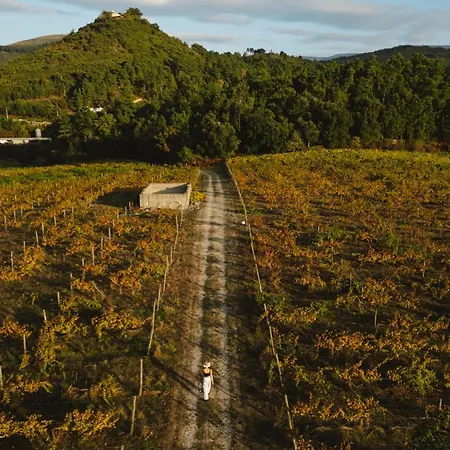 The Vinea Collection By Piamonte Hotel Moncao