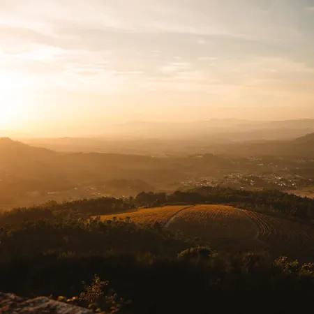 The Vinea Collection By Piamonte 호텔 Monção