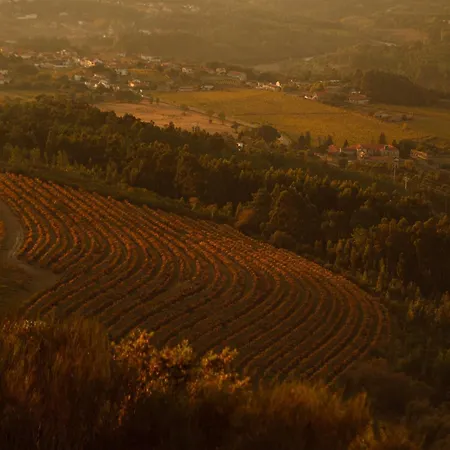 The Vinea Collection By Piamonte 호텔 5*