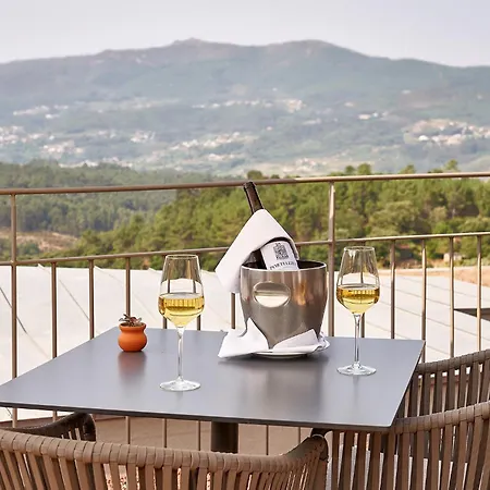 The Vinea Collection By Piamonte