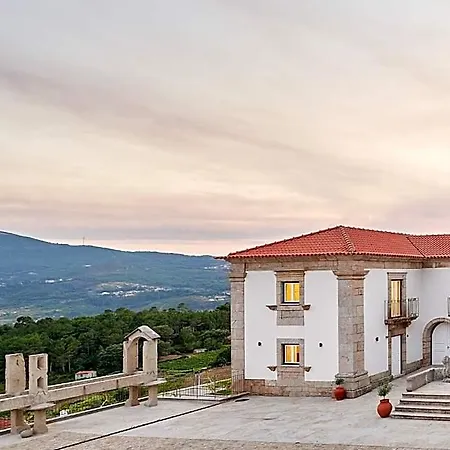 The Vinea Collection By Piamonte