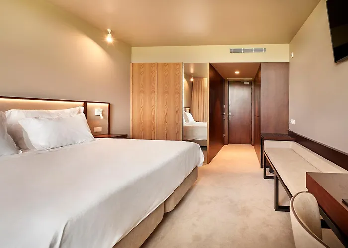 The Vinea Collection By Piamonte