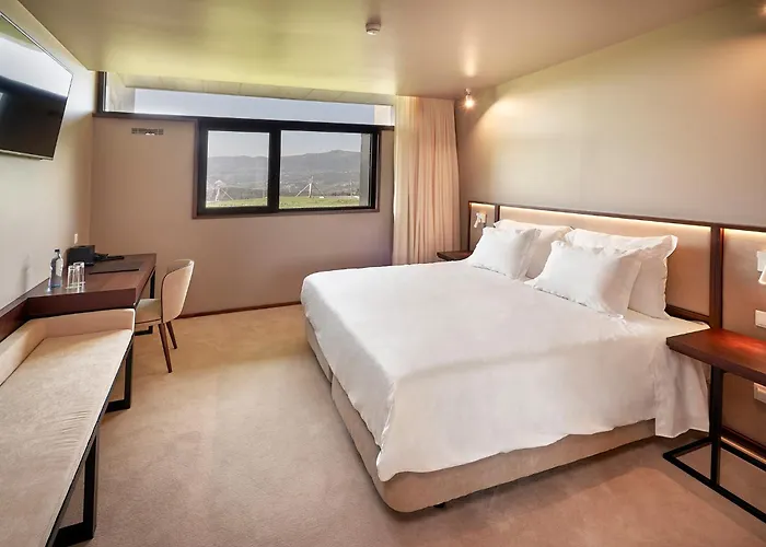 The Vinea Collection By Piamonte Monção