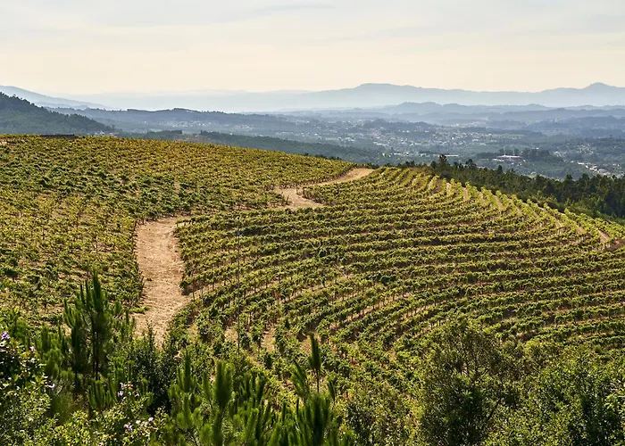 The Vinea Collection By Piamonte 5*