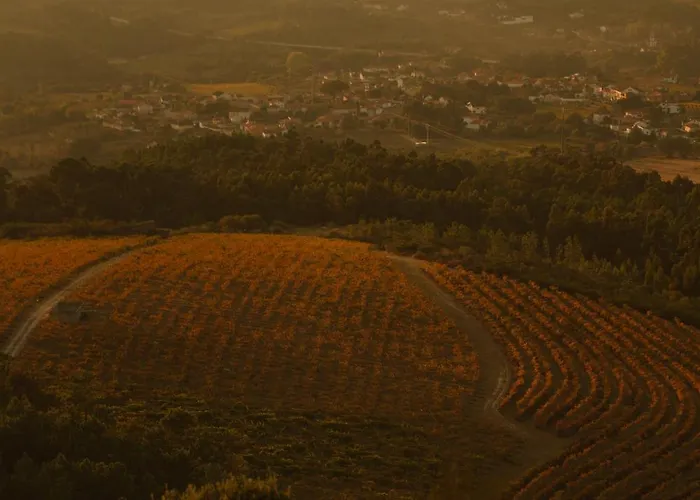 The Vinea Collection By Piamonte 5*