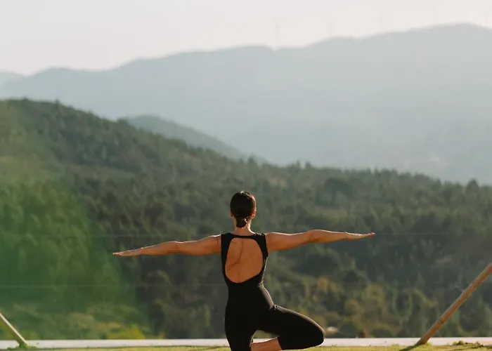 The Vinea Collection By Piamonte