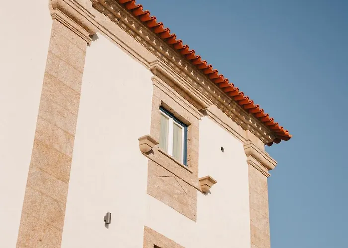 The Vinea Collection By Piamonte