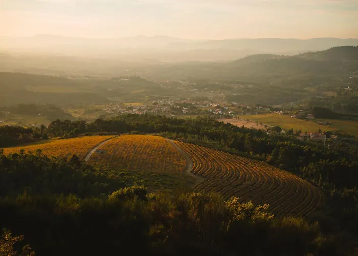 The Vinea Collection By Piamonte Hotel Moncao