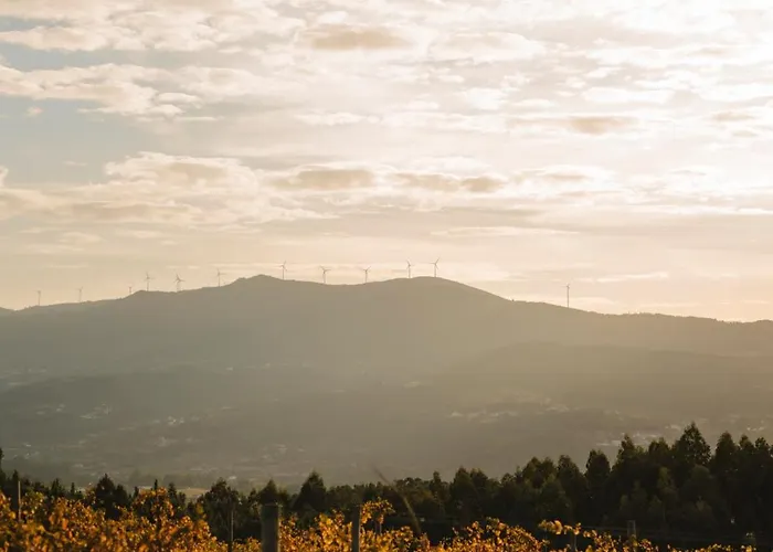 Hotel The Vinea Collection By Piamonte 5*