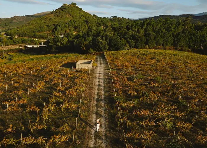 The Vinea Collection By Piamonte Hotel Moncao