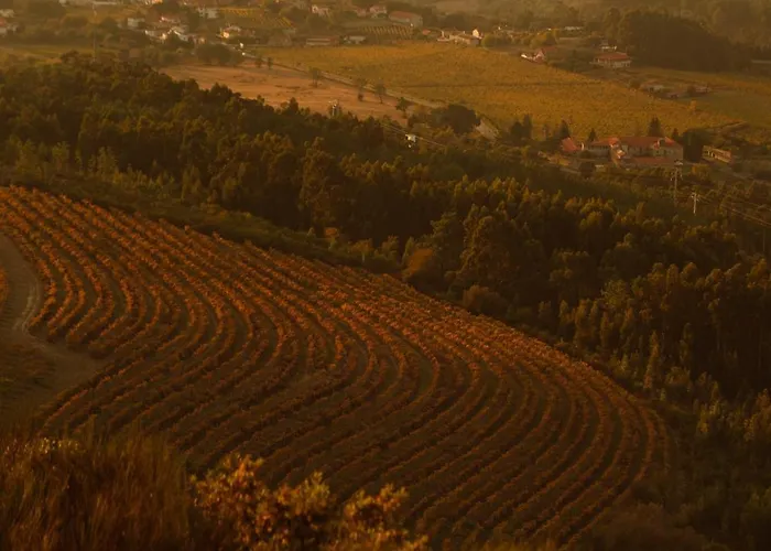 The Vinea Collection By Piamonte Hotel 5*